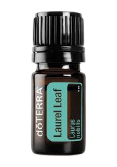Laurel Leaf Oil 5ml - Defne Yaprağı