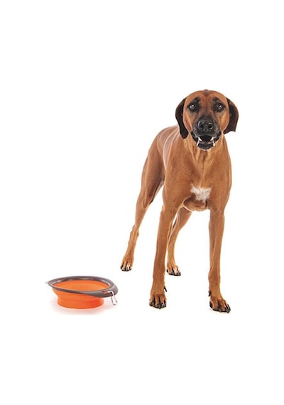 M-pets Kedi Ve Köpekler İçin Katlanır Silikon Mama Ve Su Kabı Turuncu 1230 Ml 244-51018.02