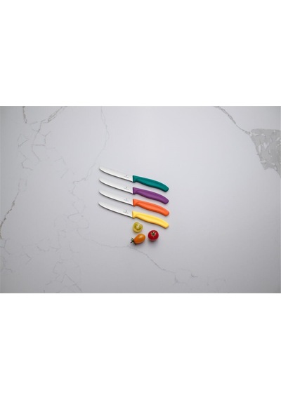 Victorinox 6.7834.C1 Swiss Classic 11 cm Tırtıklı Domates Bıçağı  Yeşil