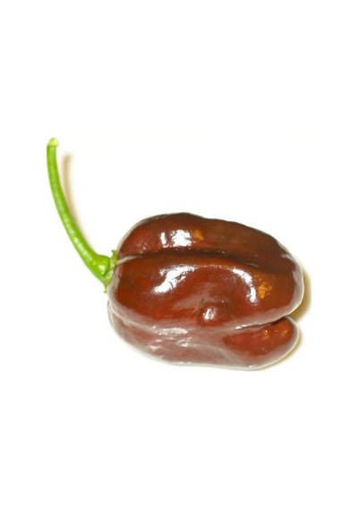 10+Kahverengi Habanero Çok Acı Biber Tohumu