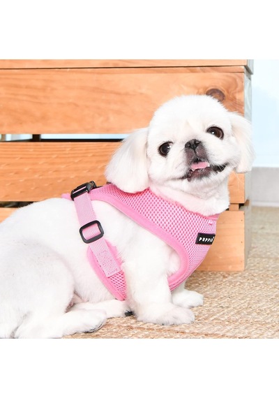 Köpek Tasması - Yumuşak Tabak E Süper Yumuşak Küçük Ve Orta Boy Köpekler İçin Çok Renkli
