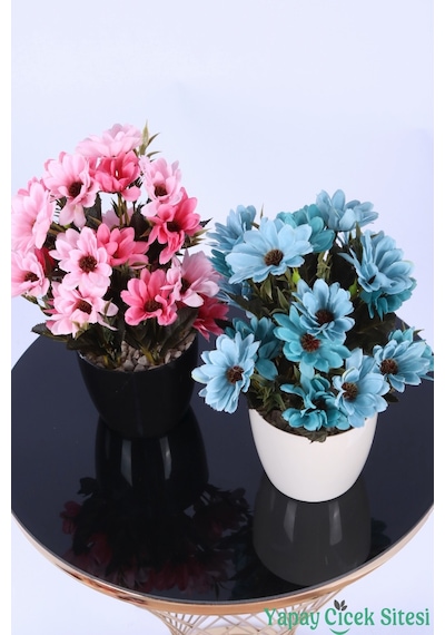 Yapay Çiçek Sitesi Plastik Saksıda Yapay Katmerli Papatya Tanzimi 2'li Set 25 Cm Fuşya Pembe - Turkuaz