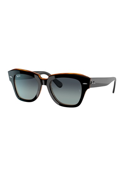 Ray-Ban 2186 13224152 Güneş Gözlüğü Çok Renkli