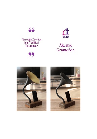 Siyah Deju Raven Akustik Gramofon 1 W Güç Ve 10 W Subwoofer İle K