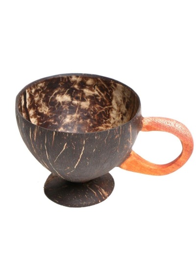 Hindistan Cevizi Coconat Bardak Coconut Glass