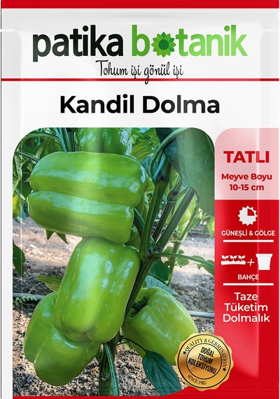 150 Adet Yerli Ata Kandil Dolma Biber Tohumu