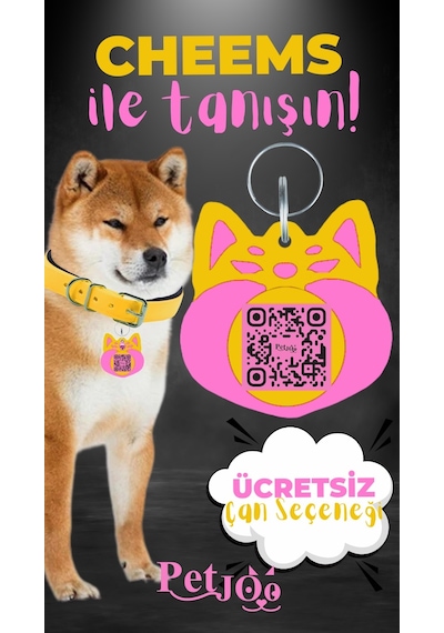 Petjoo 18.Cheems Pembe-Sarı Qr'lı Köpek Künyesi