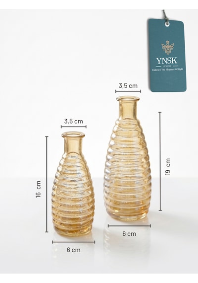 2 Li Minimalist Cam Vazo Seti Dekoratif Modern Masa Üstü Vazo Çiçeklik Bal