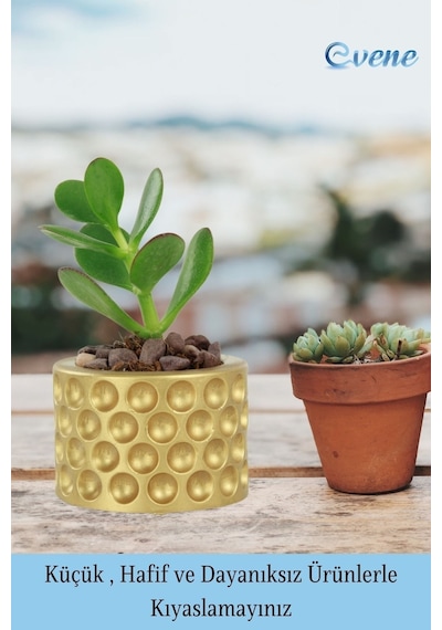 Mini Çiçek Saksı Küçük Sukulent Kaktüs Saksısı Puantiyeli Model - Altın