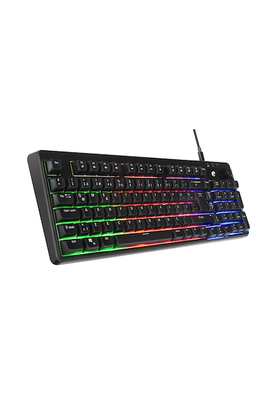 Acer Emachines, Eak860, Siyah, Usb Kablolu, Rainbow Backlight, Membran Tuşlar, Türkçe Q, 100 Tuşlu,