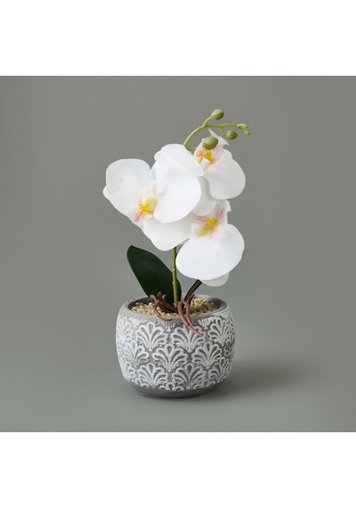Etnik Desenli Beton Saksı Real Touch Orkide - Asorti - 28x12x12 Cm