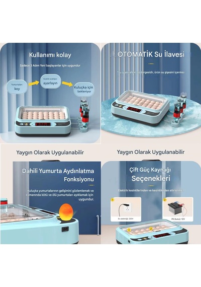 Yate10 40-60 Yumurta Tam Otomatik Kuluçka Makinası