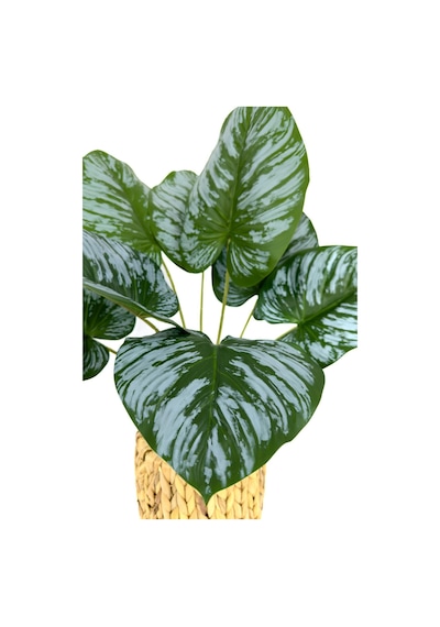 Biçiçek Yapay Salon Bi̇tki̇si̇ Bi̇tki̇si̇ 60 Cm
