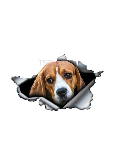 Beagle Yırtık Metal Araba Sticker Su Geçirmez Çıkartma