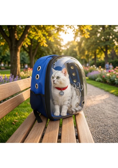 Vg Astronot Kedi Taşıma Çantası Şeffaf Evcil Hayvan Taşıma Çantası Kedi Ve Küçük Irk Köpek