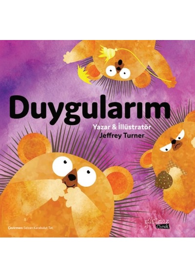 Duygularım - Aıaı-836345