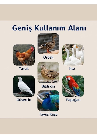 24 Lü Dijital Otomatik Yumurta Kuluçka Makinesi Tavuk, Bıldırcın, Ördek İçin