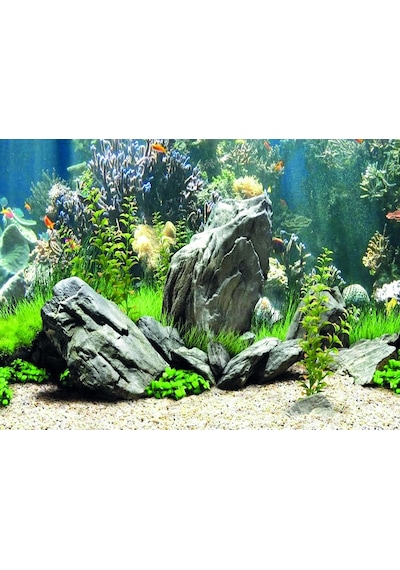 Kanki Pet Kp5540034 Akvaryum Arka Fon Yapıştırma 55 X 40 Cm