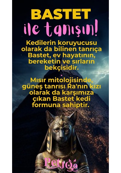 Petjoo 1.Bastet Pembe-Sarı Qr'lı Kedi Künyesi