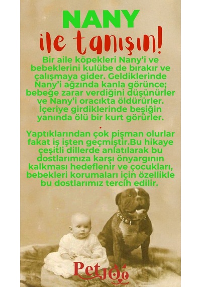 Petjoo 17.Nany Kırmızı-Yeşil Qr'lı Köpek Künyesi