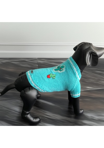 Köpek İçin Kaktüslü Turkuaz Kazak
