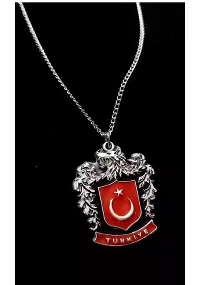 Bozkurt Logolu Türk Bayraklı 925 Ayar Gümüş Kaplama Kadın Erkek K Çok REnkli