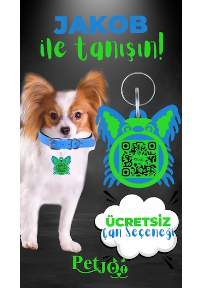 Petjoo 8.Jakob Yeşil-Mavi Qr'lı Köpek Künyesi