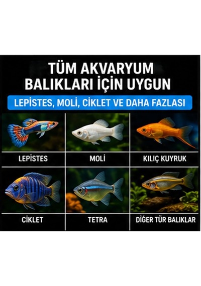 Tr Etçil Akvaryum Balık Yemi, Granül 500 800 Micron, Yüksek Proteinli%50, Hızlı Büyüme, Canlı Renk, Tüm Trop