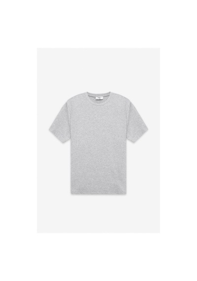 Süvari Gri Regular Bisiklet Yaka Tişört Sts1014000001-s05