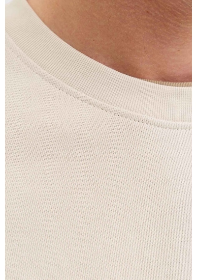 Jack & Jones Jjearchıve Graphıc Sweat Bej Erkek Sweatshirt 000000000102690863