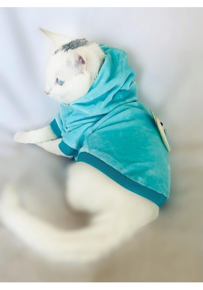 Kemique Blue Bear Sweatshirt Kedi Süveteri
