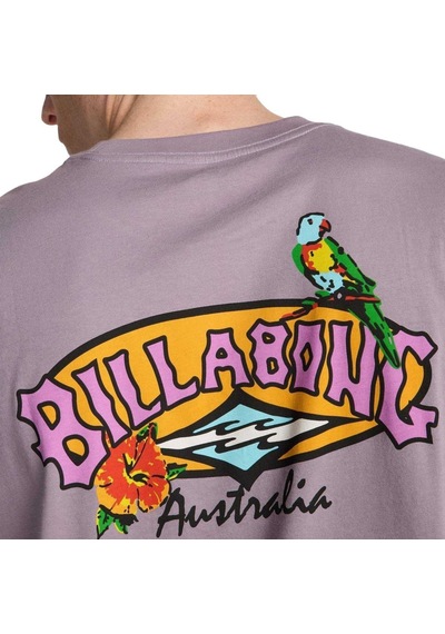 Bıllabong Billabong Origin Erkek Mor Tişört Skw0