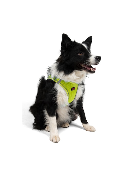 Air-Mesh Küçük ve Orta Irk Kedi Köpek Göğüs Tasması - Yumuşak, Nefes Alabilir, Dayanıklı NEON LİME 2XS