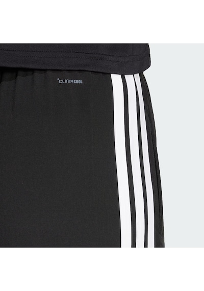 Adidas Train Essentials 3-stripes Woven Kadın Eşofman Altı Jı8313 Siyah