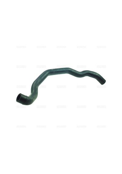 Rapro 31158 Radyatör Alt Hortumu Volvo S60 I 2.0 T 2.3 T 2.4 T 2.5 T 01 08 30680918