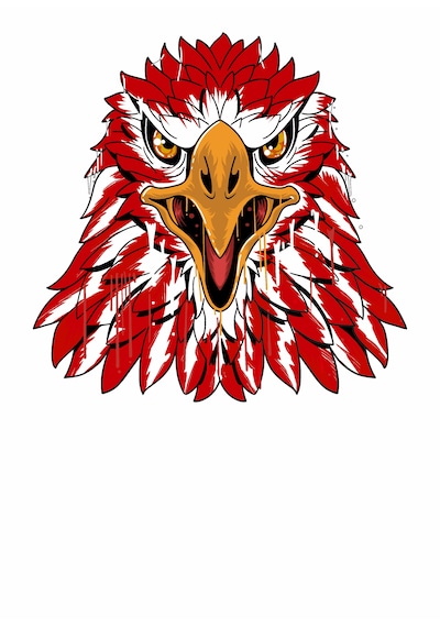 Türk Kartalı Sticker, Kartal Başı, Kırmızı Beyaz Kartal Sticker, Beşiktaş Sticker 00944 40x40 Cm