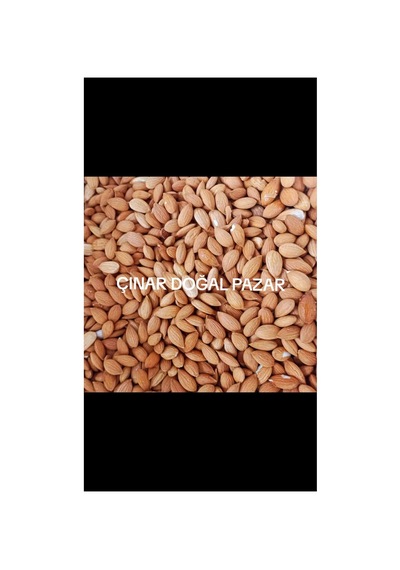 Kayısı Çekirdeği Tatlı 1 Kg Diğer