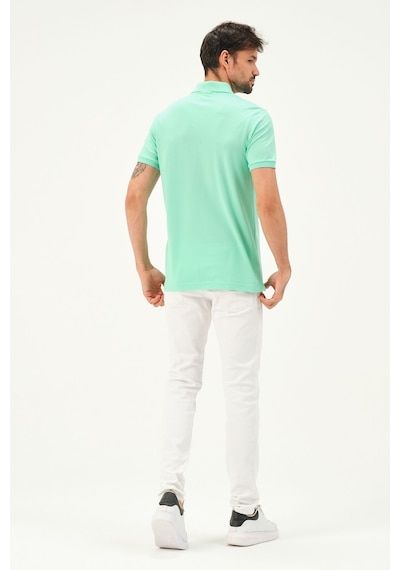 Classıc Pamuk Regular Comfort Erkek Polo Yaka Tişört Mint