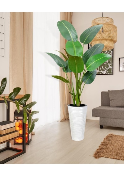 Yapay Ağaç Areka Ağacı Beyaz Uzun Kumsal Vazoda Muz Ağacı Yapay Starliçe 195cm 10 Yaprak