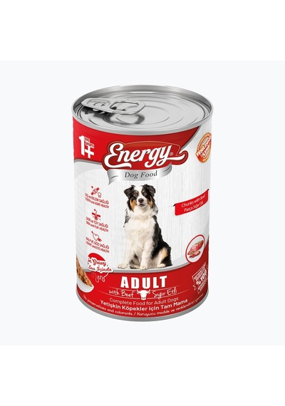 Energy Sığır Etli Yetişkin Yaş Köpek Maması - 400 G