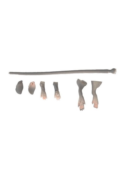 Savage Gear Lb 3d Rad Maintenance Kit 20 Cm Grey Suni Yem