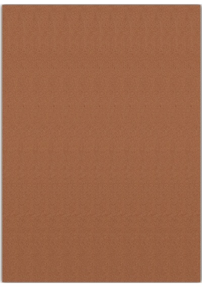 Bigpoint Eva 50x70cm Kahverengi 10'lu Paket