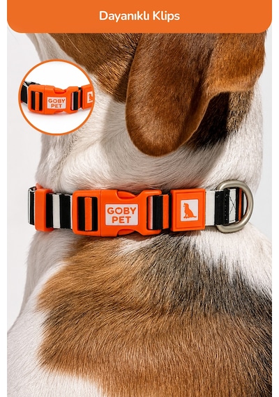 Köpekler İçin Dayanıklı Ve Güvenli, Desenli Boyun Tasması 25mm Çizgili