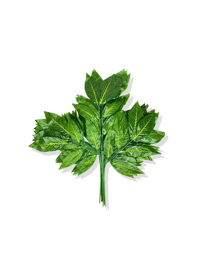 Cihan Çiçekçilik Sarı Mineli Yeşil Ceviz Demet 12 Adet 70 Cm Beyaz- Yeşil