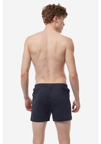 Malabadi Erkek Füme 3'lü Premium Collection Geniş Kalıp Modal Büyük Beden Boxer 3m254