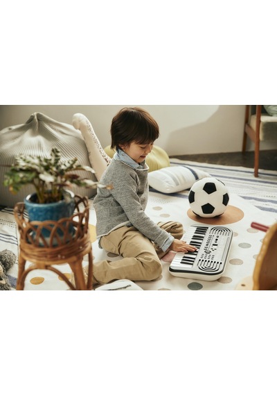 Casio Sa-51 32 Tuş Org Siyah