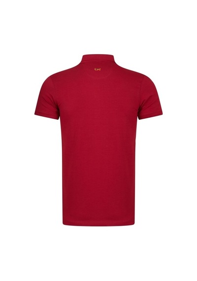 Bearraybon Erkek Polo Yaka T-Shirt-Bordo (504686089) Bordo
