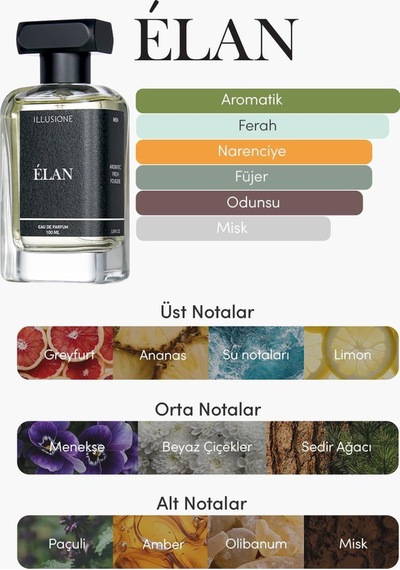 Élan Edp Erkek Parfüm 100ml Aromatik-fresh-füjer Limon, Sedir, Paçuli, Misk Diğer