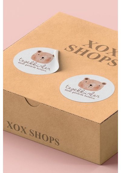 Ayılı Teşekkürler Kargo Sticker 3x3cm St2193 Çok Renkli