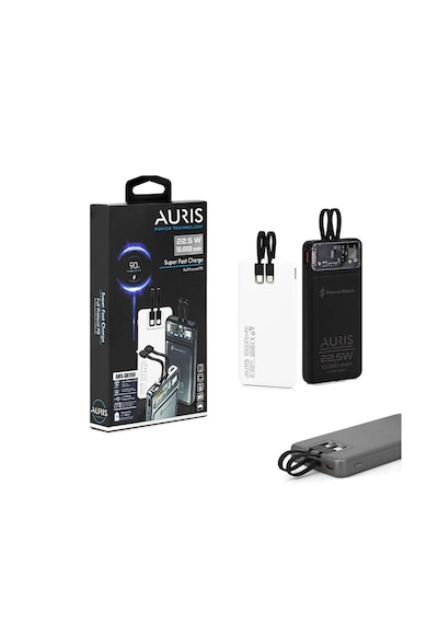 Aurıs Powerbank